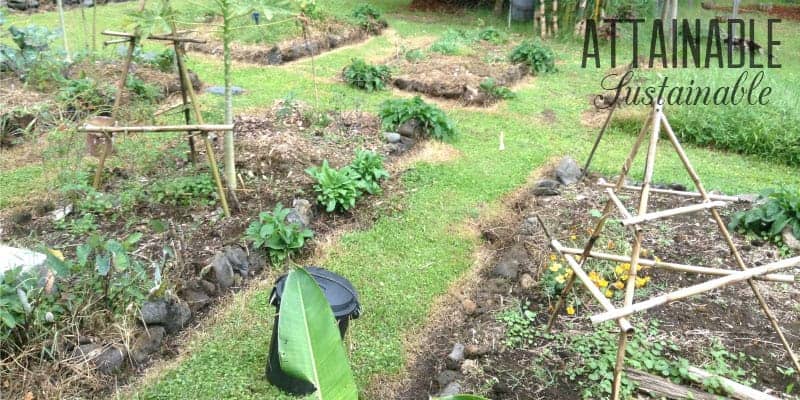 garden beds with burned edges for a natural weed killer