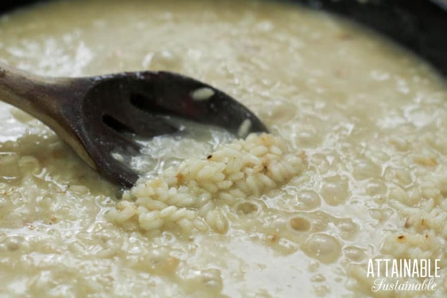 cooking risotto in broth