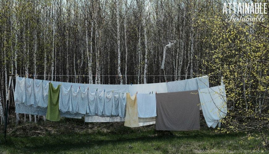 Light colored laundry hanging on a line with birch trees in the background