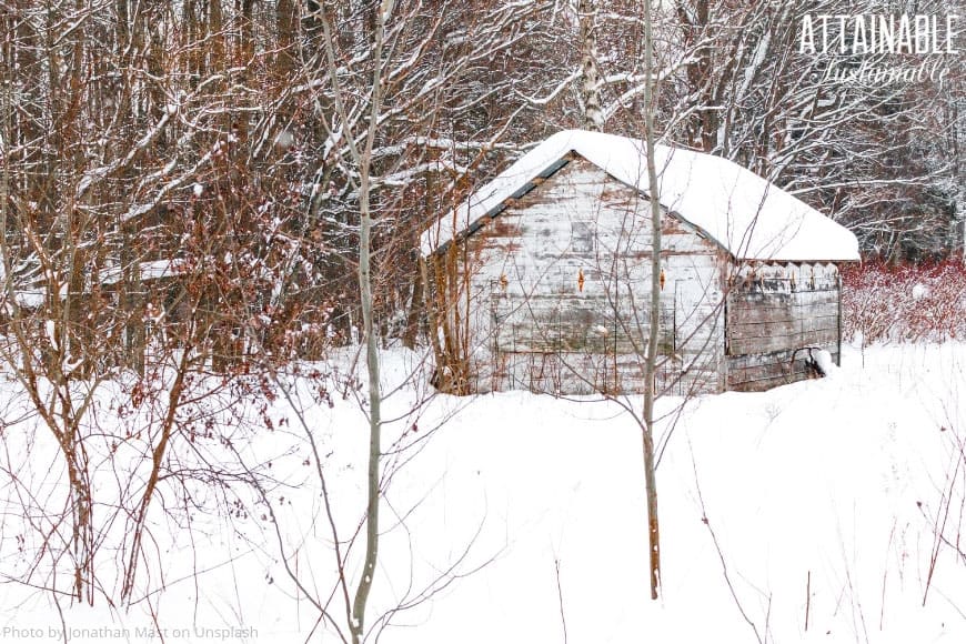 wooden barn covered in snow