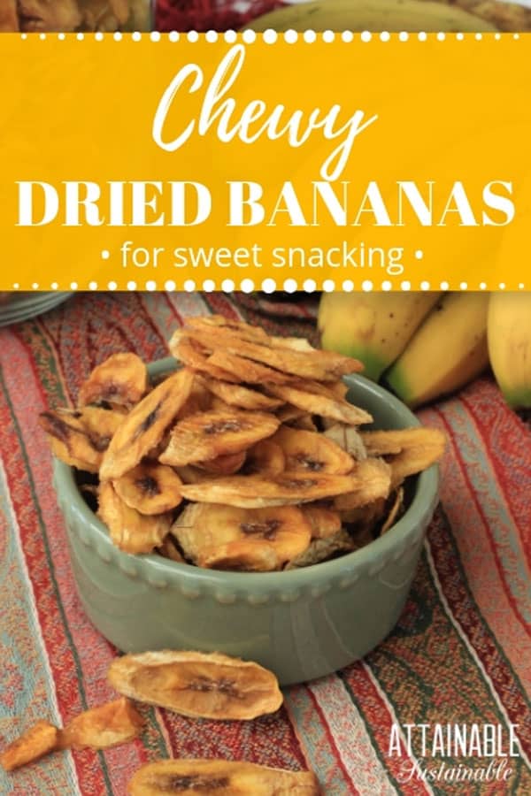 Dehydrated bananas stacked in a green bowl on a reddish striped tablecloth. Fresh bananas in the background