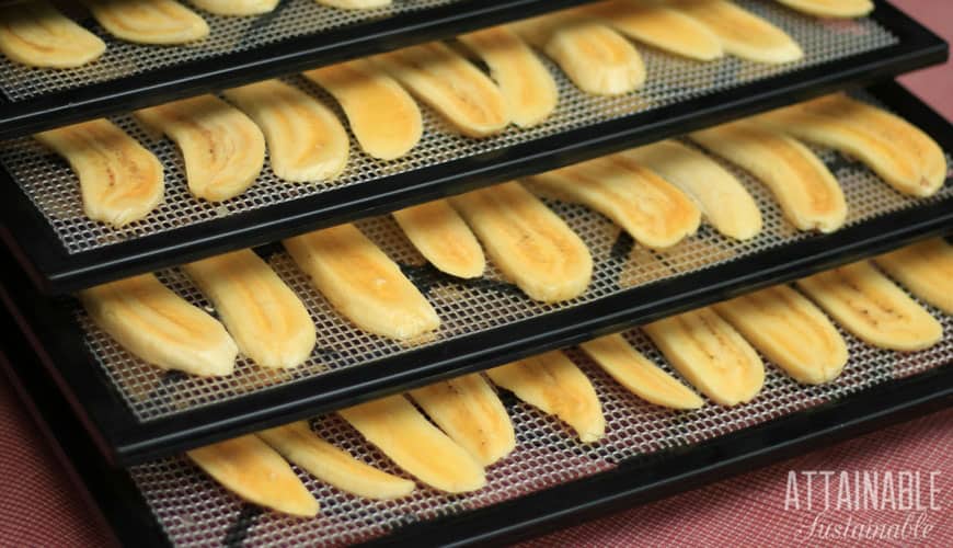 sliced bananas in a dehydrator