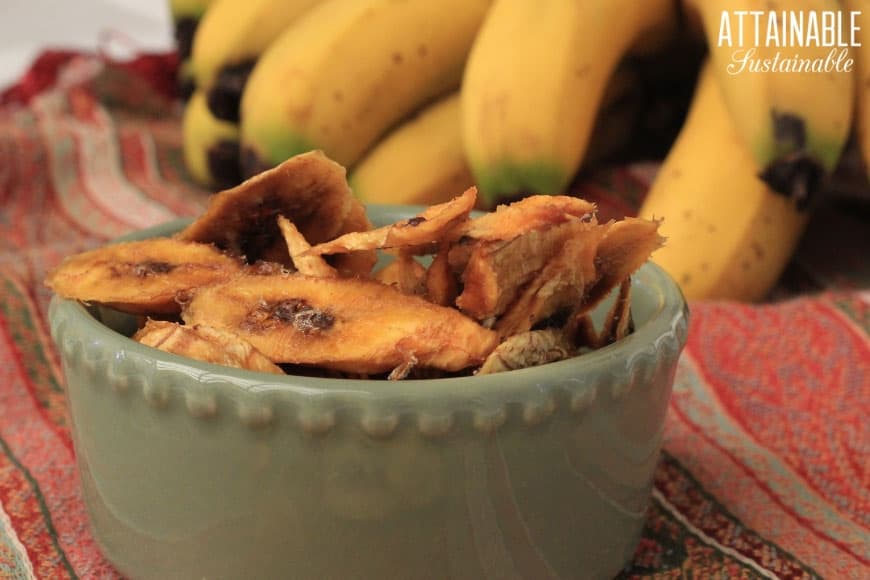 Dehydrated bananas stacked in a green bowl on a reddish striped tablecloth. Fresh bananas in the background