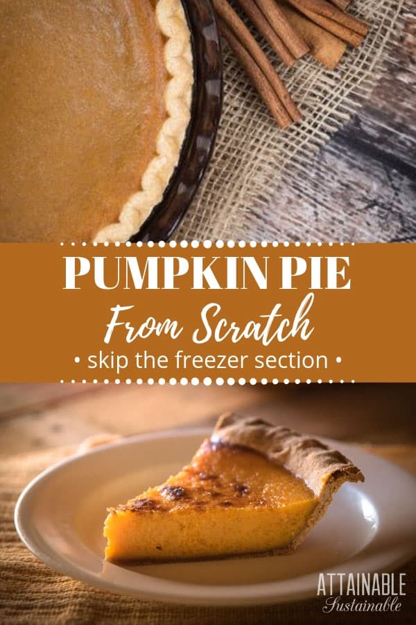 easy pumpkin pie recipe