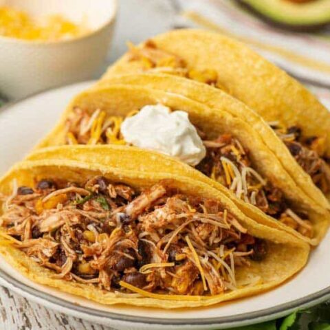 three shredded chicken tacos on a white plate