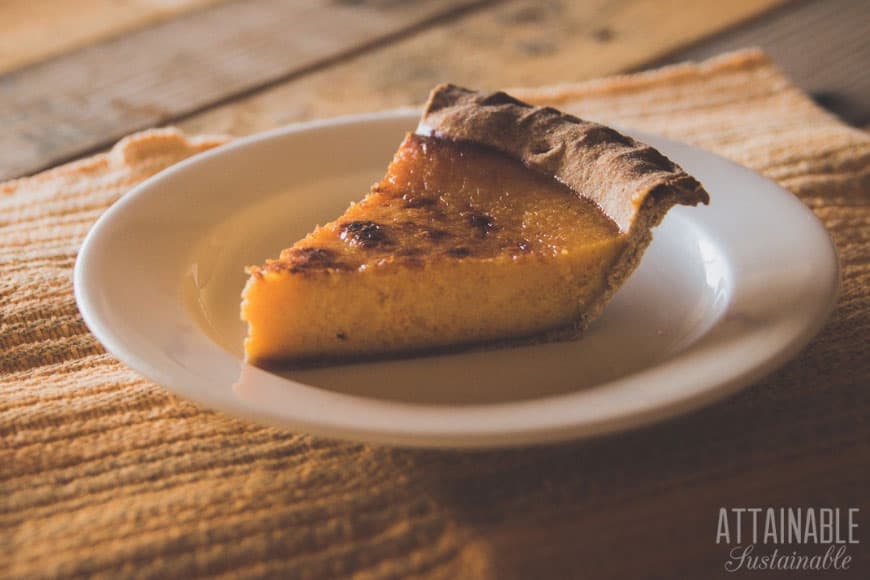 slice of pumpkin pie on a white plate (rough wood table in background)