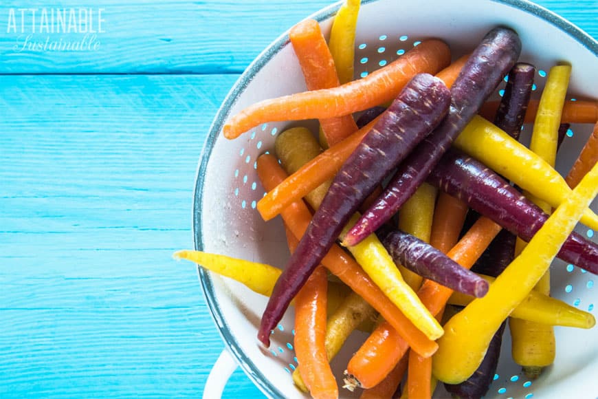 rainbow carrots in a white colander, teal background