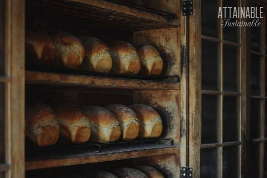 shelves of freshly made bread