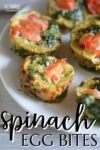egg bites with tomato and spinach on a white plate.
