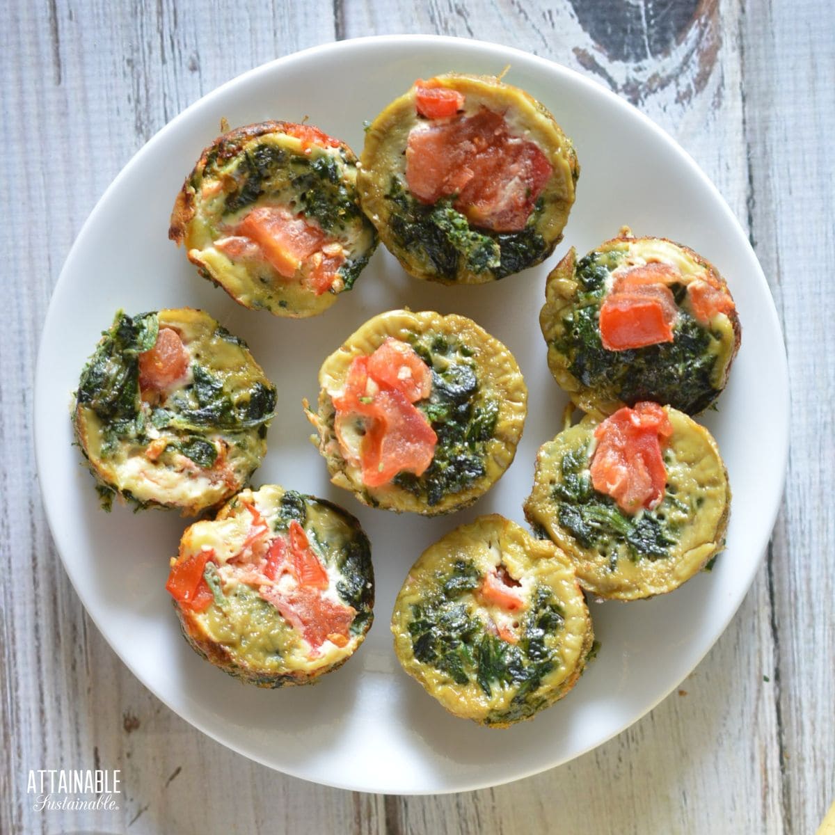 white plate filled with spinach and tomato egg bites.