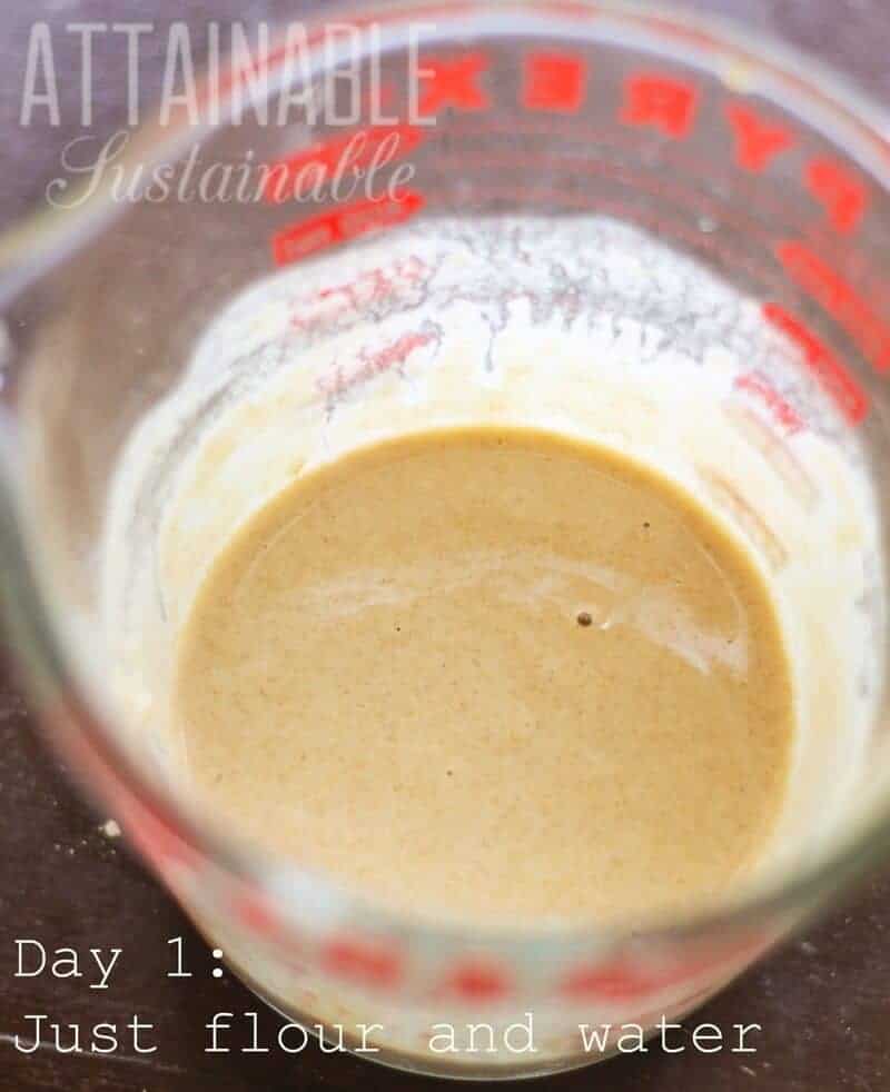 sourdough starter in a glass measuring cup with red lettering