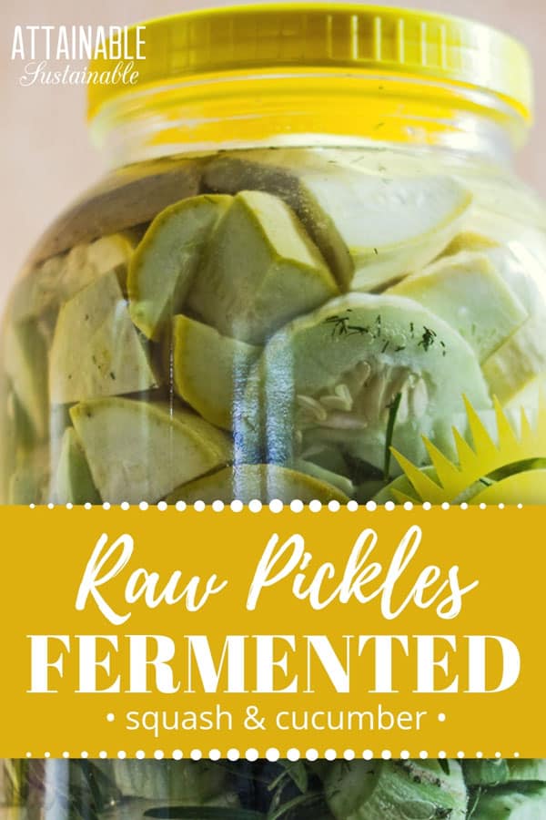 Making fermented pickles might sound difficult, but it's not. These fermented squash raw pickles feature garden fresh ingredients and can be made in a snap. #fermenting #pickles #homestead
