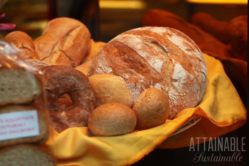 French bread and rolls in a bakery