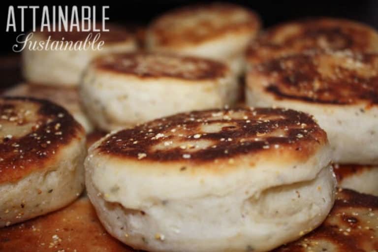 Sourdough English Muffins from Scratch Attainable Sustainable