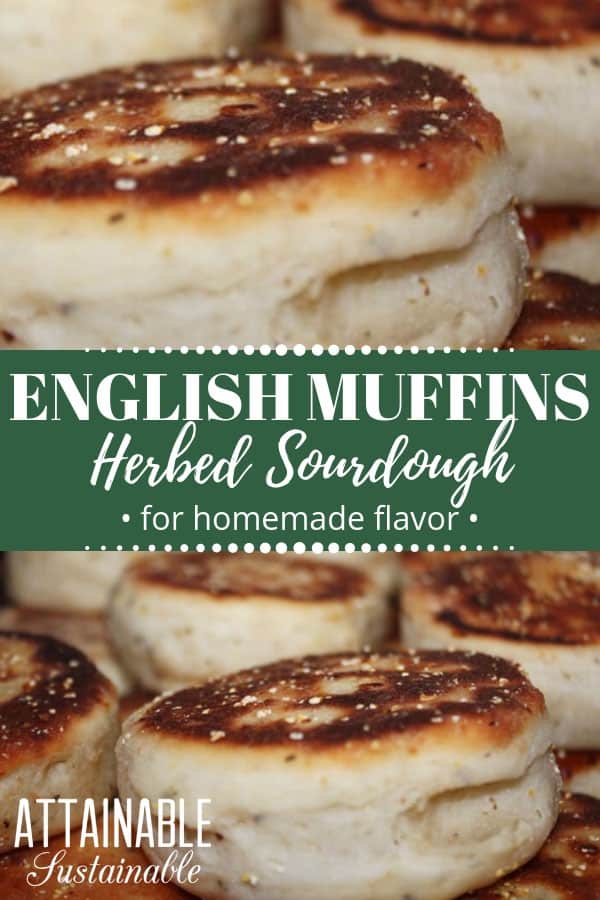 Sourdough English muffins are surprisingly easy to make. This herb & parmesan sourdough English muffin recipe is a winner! Cooked on the stove top in a cast iron frying pan, this English muffin recipe is destined to become a breakfast favorite at your place. #bread #baking #breakfast