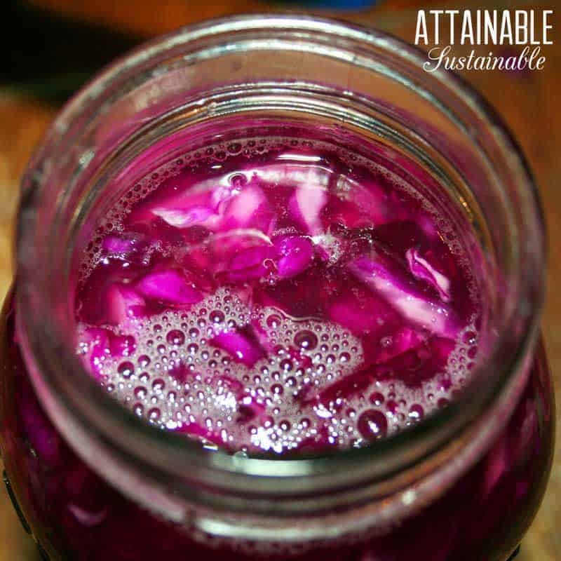 homemade sauerkraut bubbling in glass jar