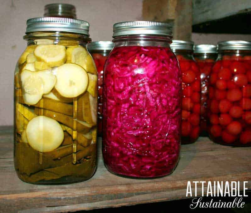 jars of fermenting and preserved foods on a wooden shelf