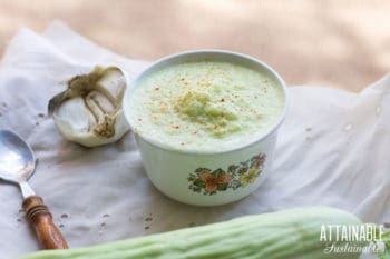 cucumber salsa in a white bowl