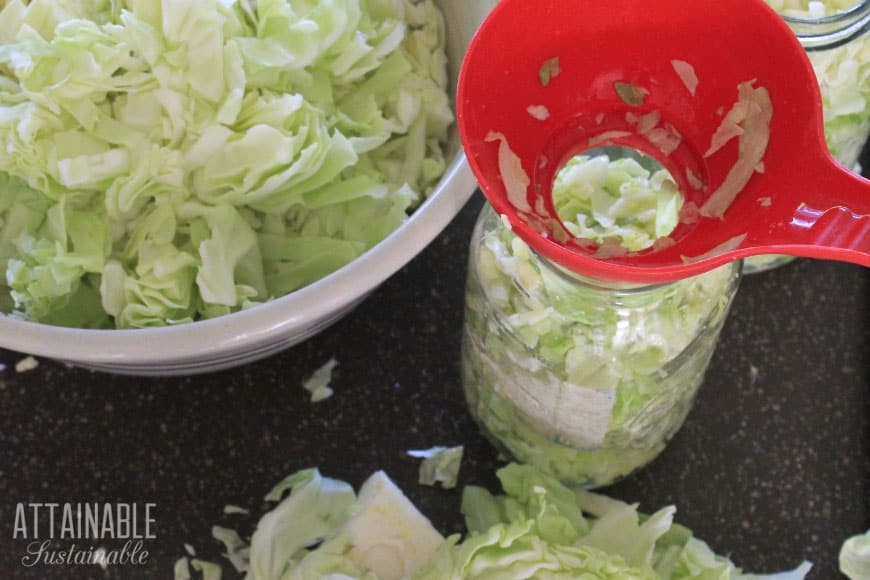 bowl of sliced green cabbage, red jar funnel with cabbage in jar