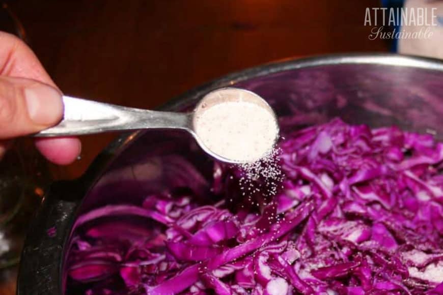 teaspoon of salt sprinkling onto shredded red cabbage to make quick sauerkraut