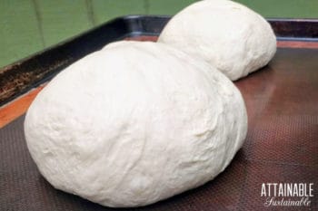 sourdough boule bread loaves before baking