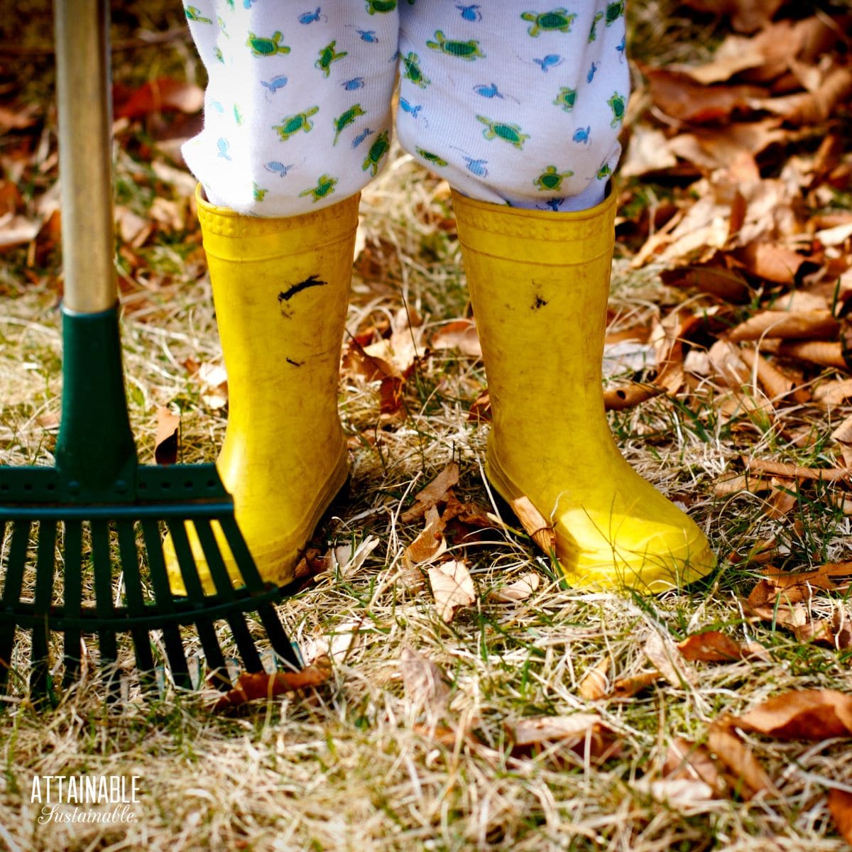 child from the thighs down, in yellow boot, holding a leaf rake.