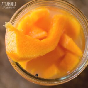 fermented pumpkin spears in a glass jar from above.