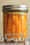 fermented pumpkin spears in a canning jar.