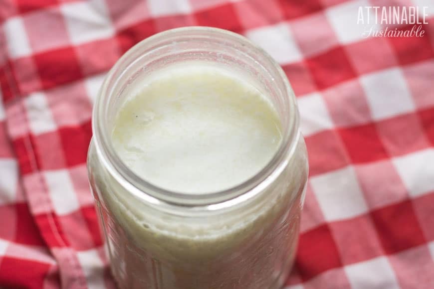 glass jar of milk kefir on red checked tablecloth