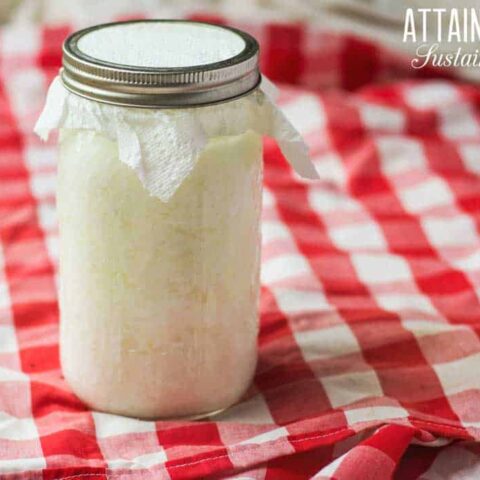 glass jar of milk kefir on red checked tablecloth