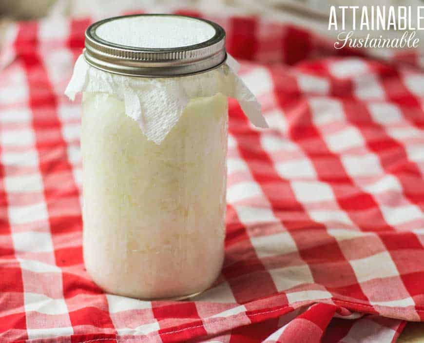 glass jar of goat milk kefir on red checked tablecloth