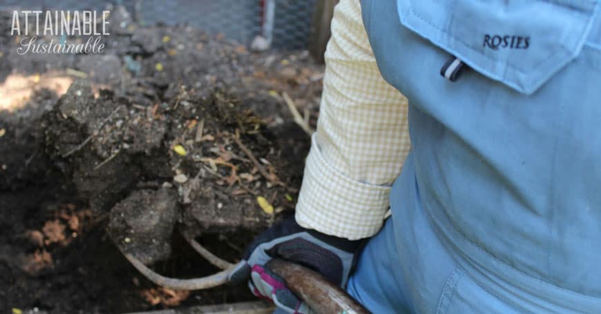 pitchfork in compost working on fall clean up