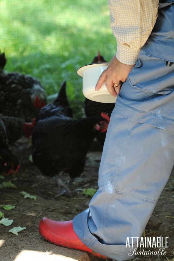 woman with red boots feeding chickens