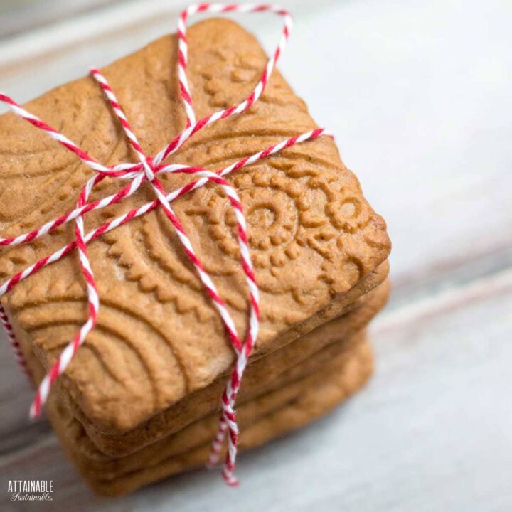 square cookies with embossed pattern, tied with red and white twine.