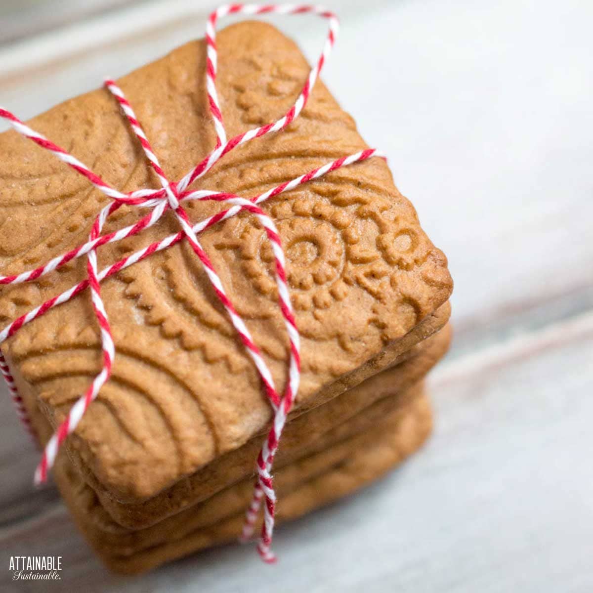 Gingerbread Spice Cookies (Time Saver Recipe) - The Monday Box