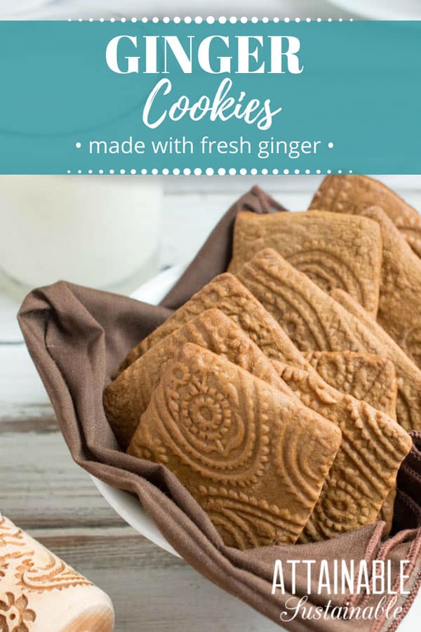 Ginger cookies with fresh ginger can't be beat for flavor. Serve these easy ginger cookies with a glass of milk or a hot cup of tea, or give them as gifts. #baking #cookies #dessert