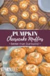 copycat starbucks pumpkin muffins on a blue plate