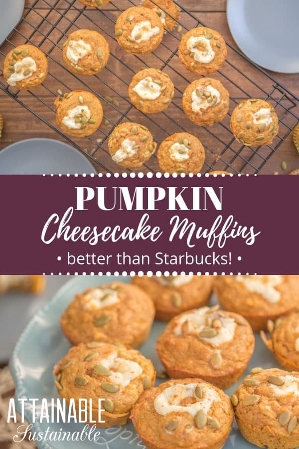 Love pumpkin cheesecake muffins? Try this better than Starbucks pumpkin muffin recipe for a fall-flavored sweet treat you can make at home for less. Pumpkin spice season can be all year round when you make these sweet pumpkin cheesecake muffins at home. Make them for an indulgent breakfast or dessert.
#breakfast #dessert #pumpkinspice #recipe
