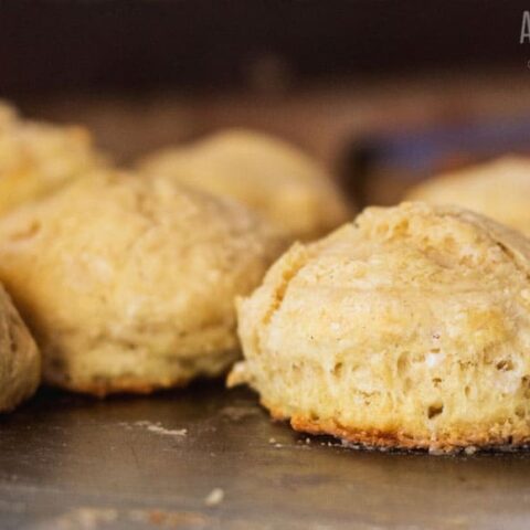 homemade buttermilk biscuits on a baking tray.