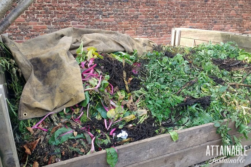 compost bin with cloth tarp folded out of the way, 