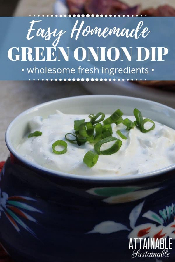 green onion dip recipe in a blue bowl, garnished with green onions
