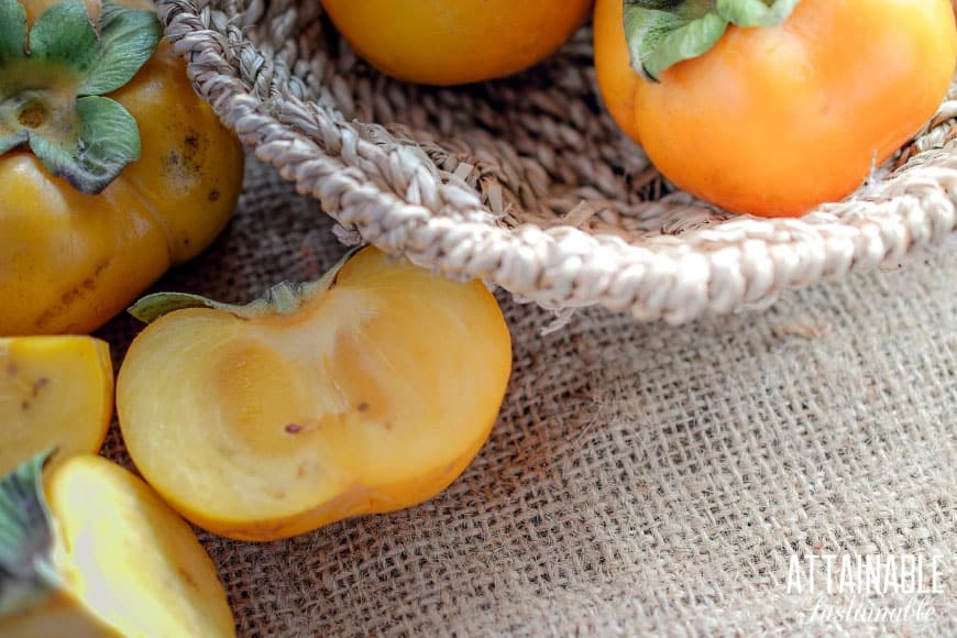 persimmons in a basket