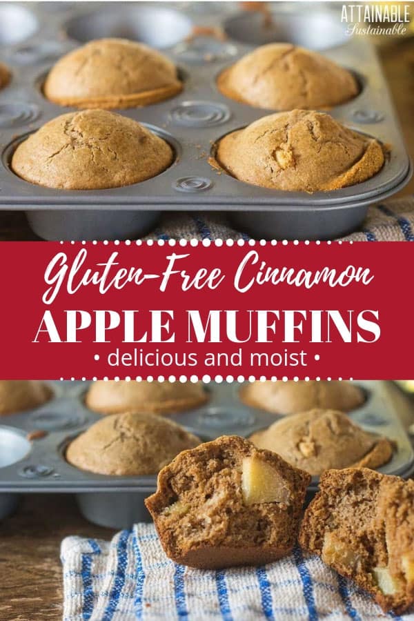 These gluten free apple cinnamon muffins are a perfect breakfast to start the day. Or pack them for lunch! #baking #breakfast #recipe