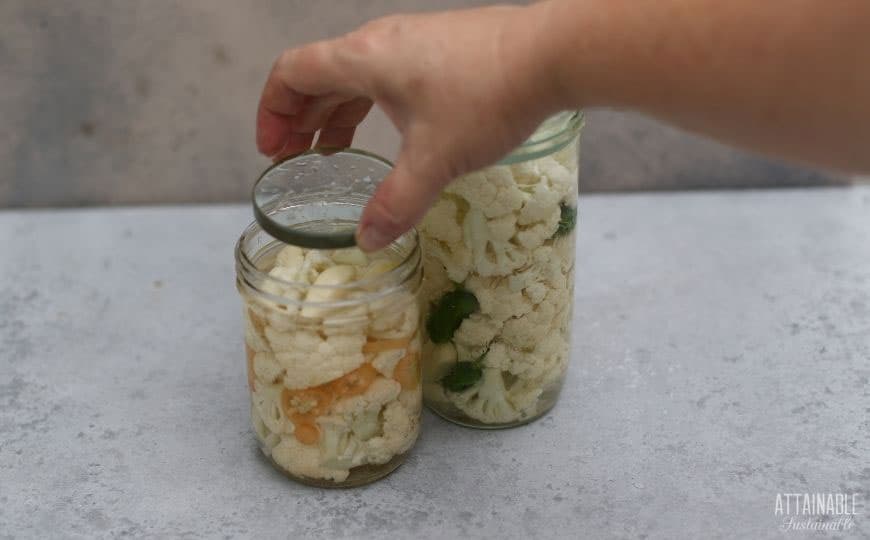hand putting a glass weight in a jar of cauliflower