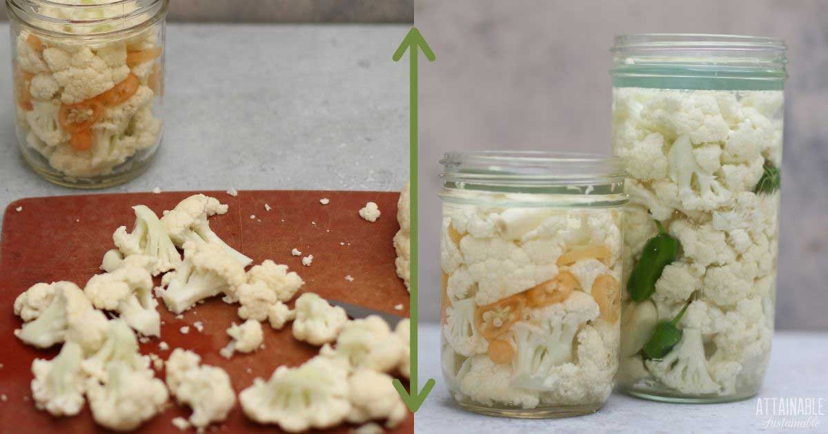 Fermented Cauliflower Recipe Pickled Cauliflower with Probiotics