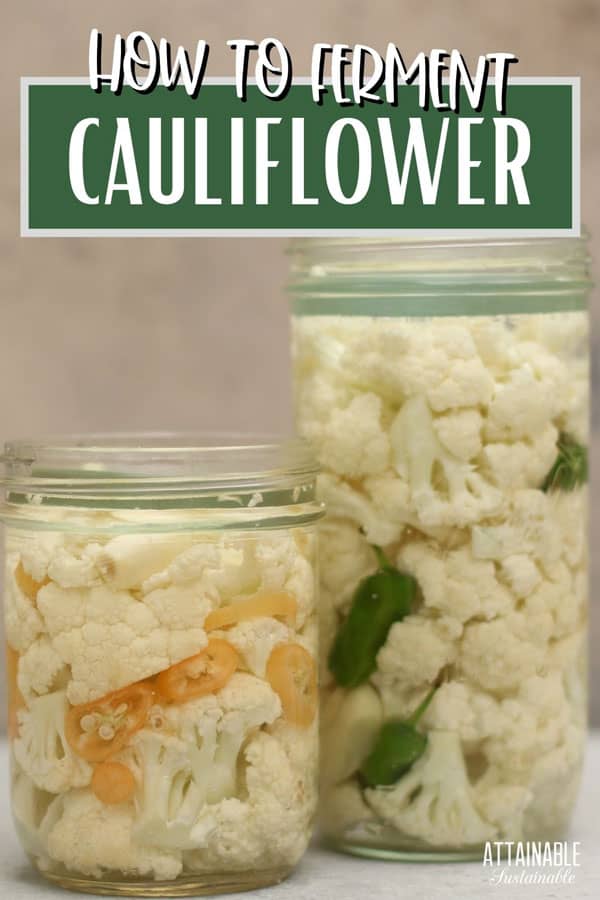 fermented cauliflower in two glass jars