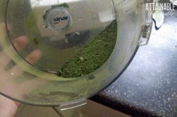 beet green powder in a food processor bowl