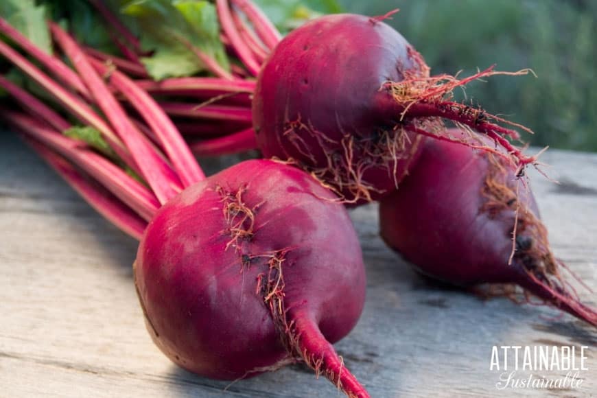 3 fresh red beets on a wooden table