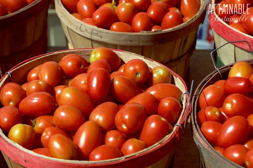 roma tomatoes in a wooden basket