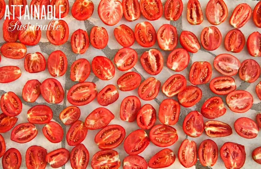 tray full of halved roma tomatoes